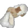 Sulpaki
